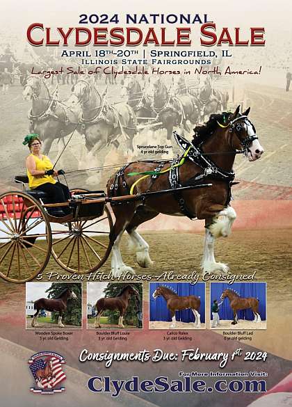 Poster for Riverside Clydesdales to 2024 National Clydesdale Sale